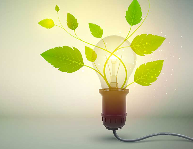 Dự báo xu hướng sử dụng đèn tiết kiệm điện năm 2026